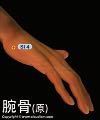 腕骨