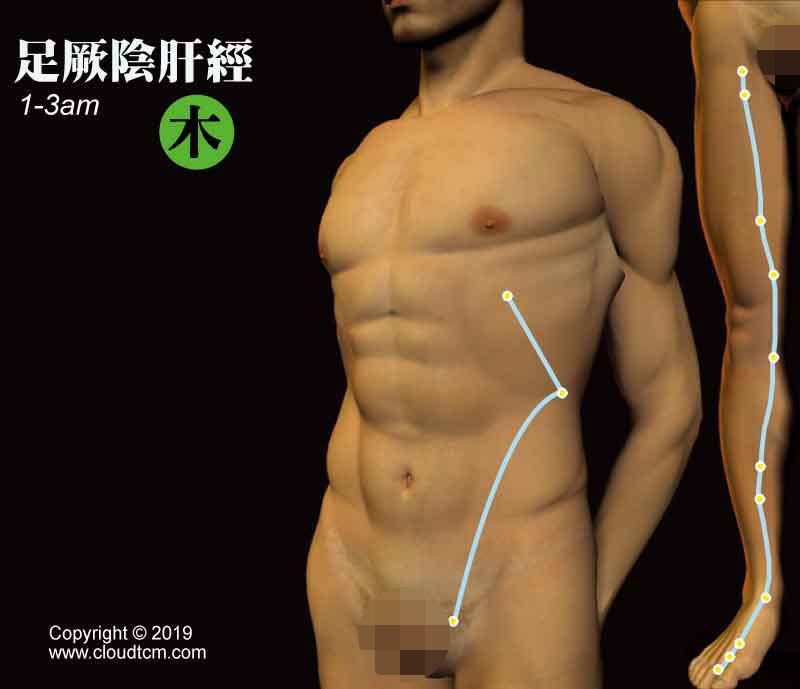 足厥陰肝經經絡圖