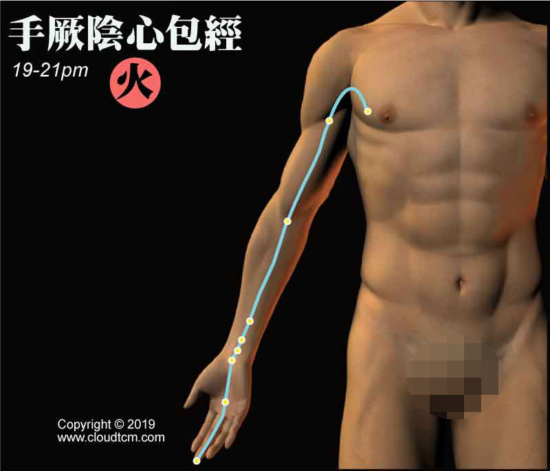 手厥陰心包經經絡圖
