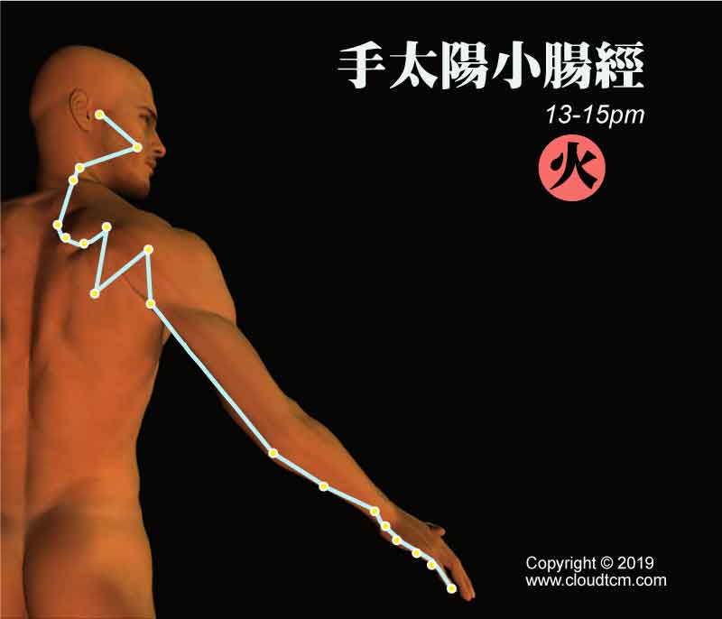 手太陽小腸經經絡圖