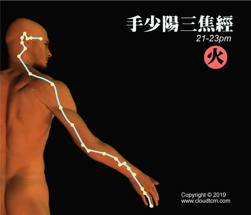 手少陽三焦經經絡圖