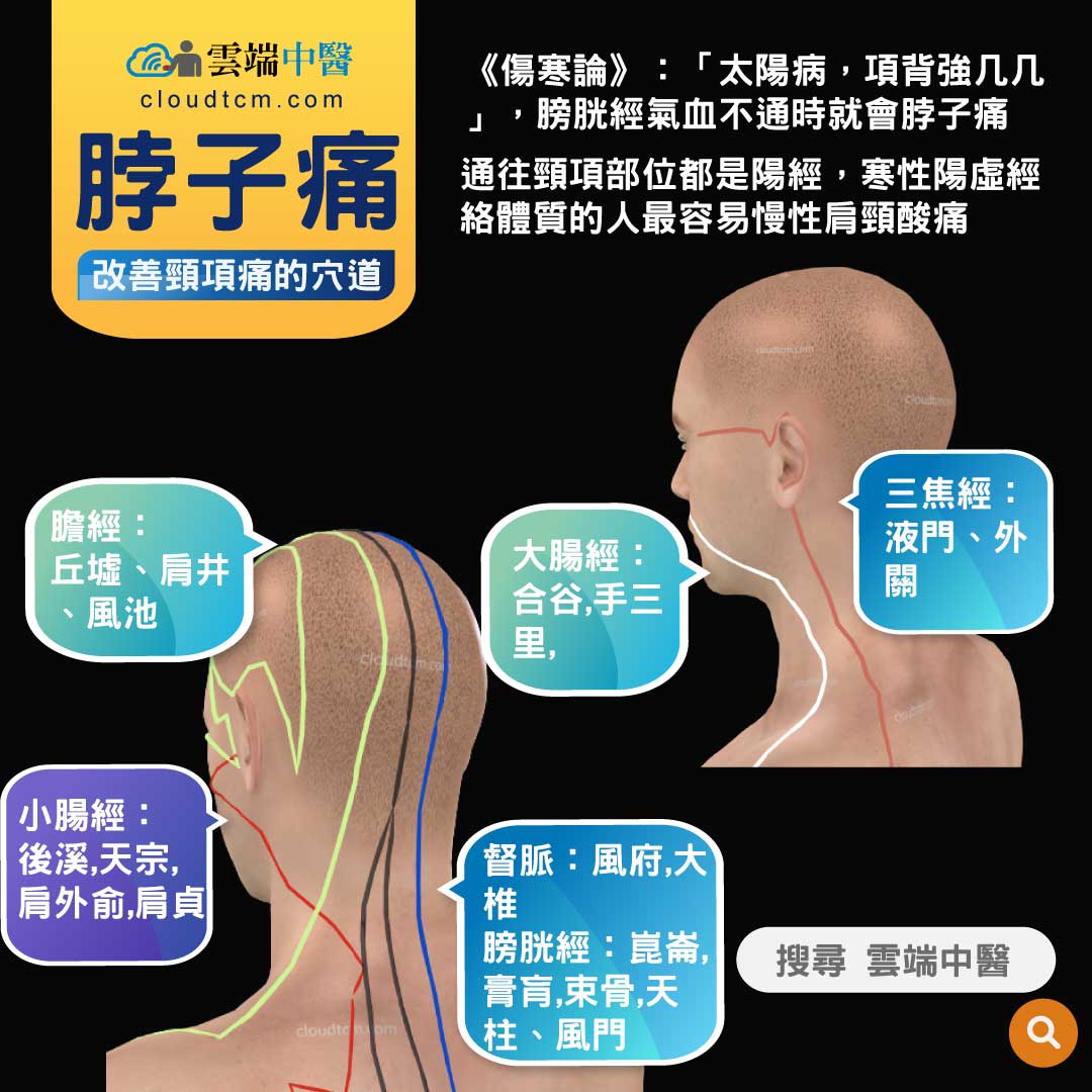 脖子痛落枕原因複雜，從經絡與中藥證候來理解！