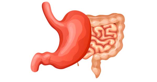 脾胃虧虛(生化之源不足)