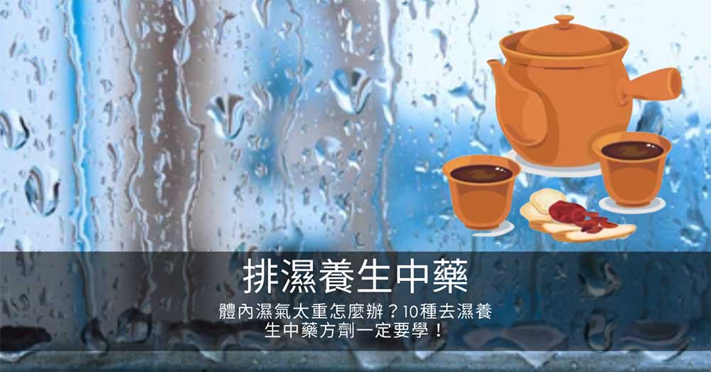 體內濕氣太重怎麼辦?10種去濕養生中藥方劑一定要學!