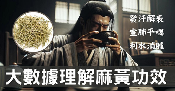 從大數據及經絡角度理解「麻黃」的5種強大功效!