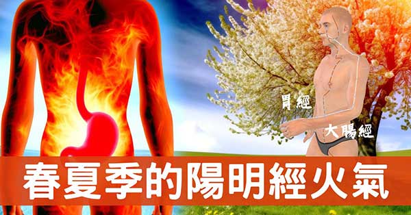 從陽明經(胃、大腸經)理解胃火熱的12種症狀!