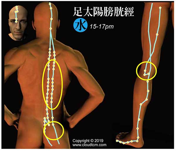 拔罐刮痧膀胱經,可以改善腿抽筋現象