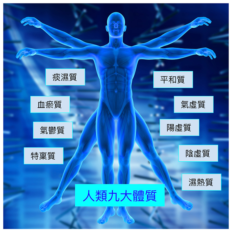 現代中醫將人類分為九大體質
