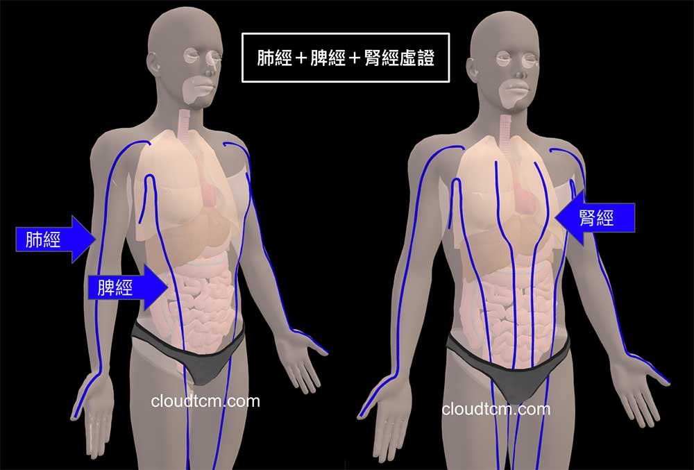 肺經、脾經與腎經虛證時,會影響到肺臟